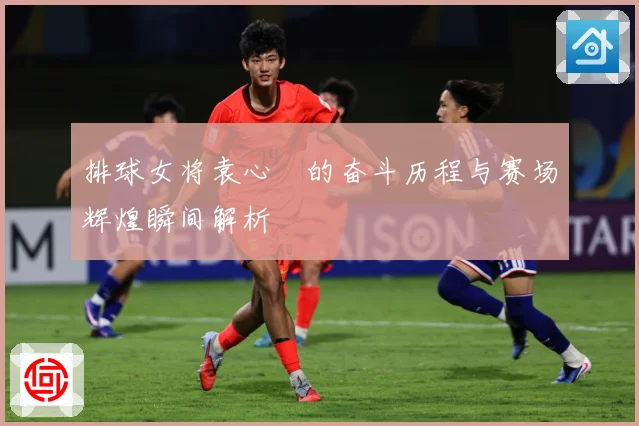 排球女将袁心玥的奋斗历程与赛场辉煌瞬间解析