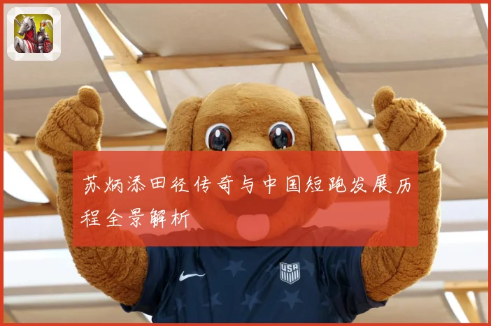 苏炳添田径传奇与中国短跑发展历程全景解析