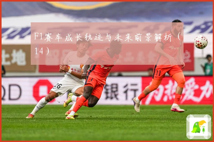 F1赛车成长轨迹与未来前景解析（14）