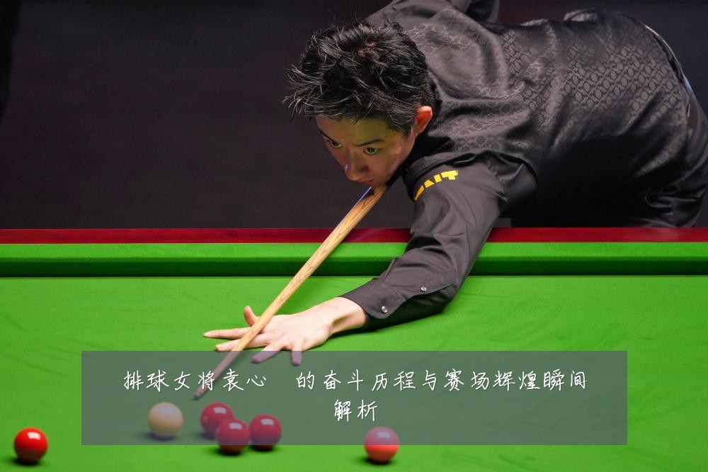 排球女将袁心玥的奋斗历程与赛场辉煌瞬间解析