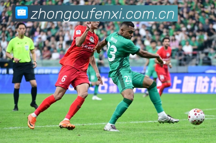 关于中欧体育